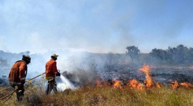 Bahia é o terceiro estado que mais desmatou Cerrado em agosto