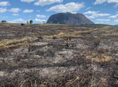 Guaratinga: Investigação é aberta após incêndio que atingiu 30 hectares