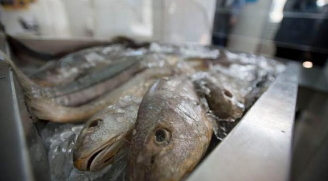 Bahia já registrou 18 casos da Doença de Haff neste ano e Sesab alerta para cuidados