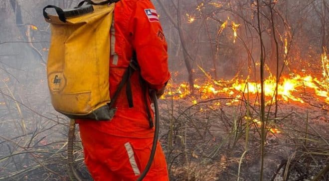 Bahia registra 85 focos de incêndio nesta quarta; Cotegipe lidera queimadas