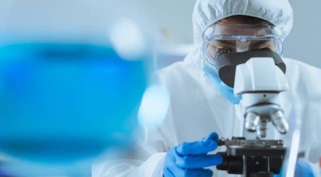 Vírus Nipah alerta comunidade médica mundial, potencial pandêmico é granded