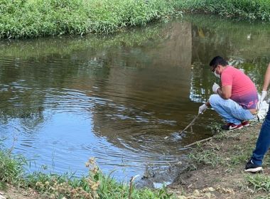 Peixes são achados mortos em lama escura de rio entre Conquista e Itambé