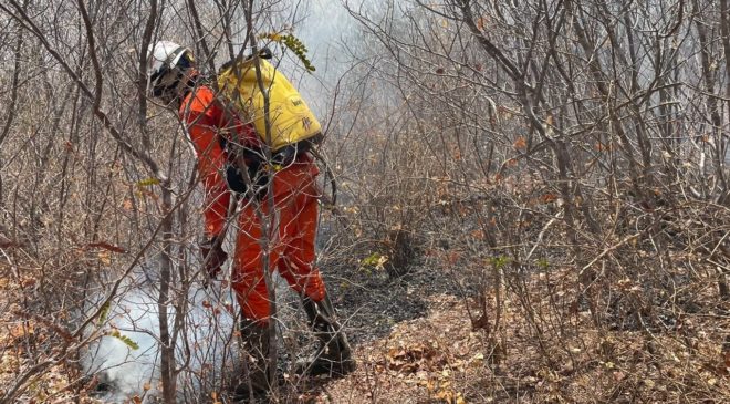 Bombeiros combatem incêndios florestais em nove municípios baianos neste sábado
