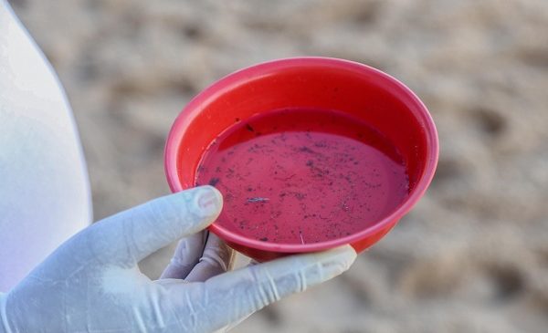 Prefeitura prossegue com mutirões de combate ao Aedes nesta quinta (7)