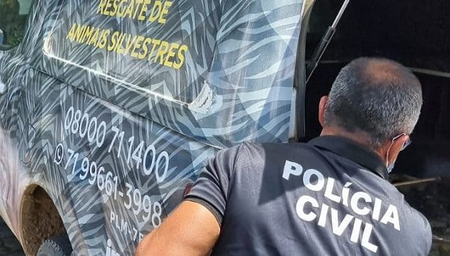 Investigadores de Feira de Santana, recuperam carga de cigarros avaliada em mais de R$ 1 milhão e intercepta veículo com mias de mil pássaros silvestres