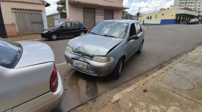 Cachorro pula em colo de condutora, que bate carro; acidente alerta sobre uso de cinto de segurança em animais