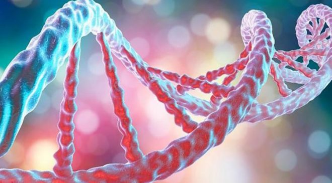 Holanda confirma 13 casos da ômicron; lista de países infectados aumenta