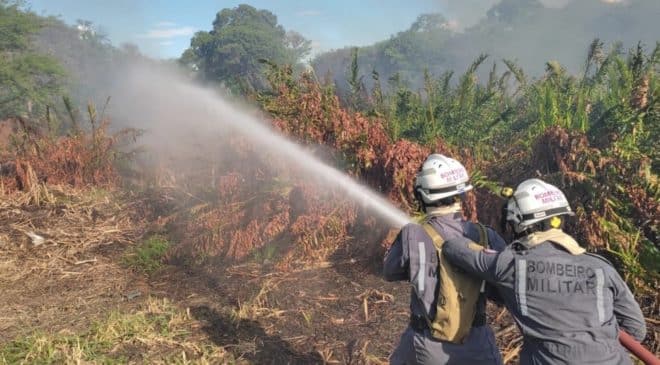 Bombeiros apagam incêndio em área da caatinga após moradores atearem fogo em madeira