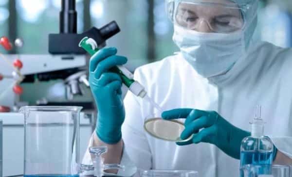 Alerta. Anvisa confirma novo caso do superfungo Candida auris