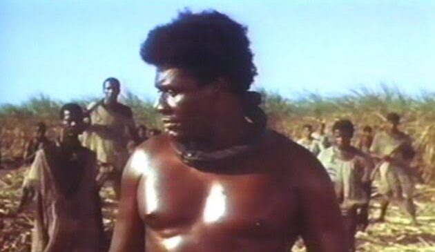 Dia 20 de Novembro, celebramos o Dia da Consciência Negra, homenagem ao herói a Zumbi de Palmares