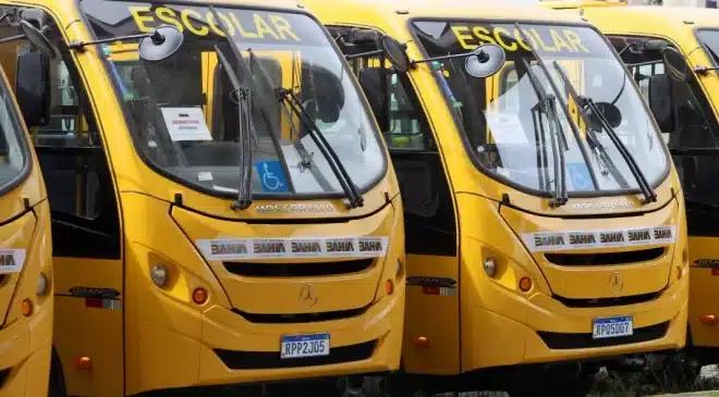Oitenta ônibus escolares são entregues para o transporte de estudantes de municípios do interior