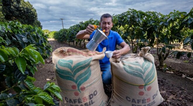 Neste domino (14), é o Dia do Café, investimentos na produção geram impactos positivos na qualidade do café e na economia da Bahia