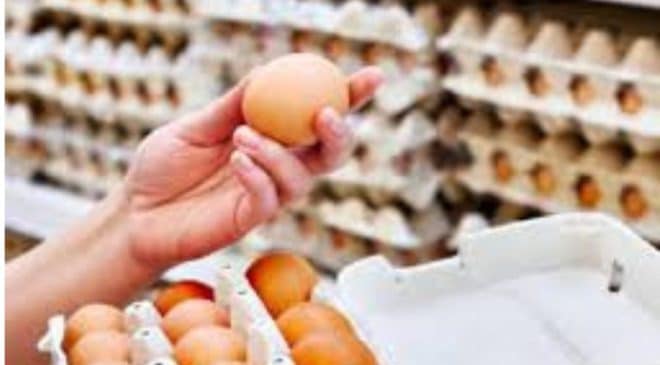 Preço do ovo dispara no Brasil e preocupa consumidores