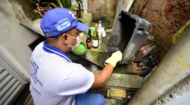 Salvador intensifica as ações de combate às arboviroses
