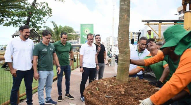 Prefeitura inicia  programa Corredor Verde arborizando Salvador com plantio de árvores