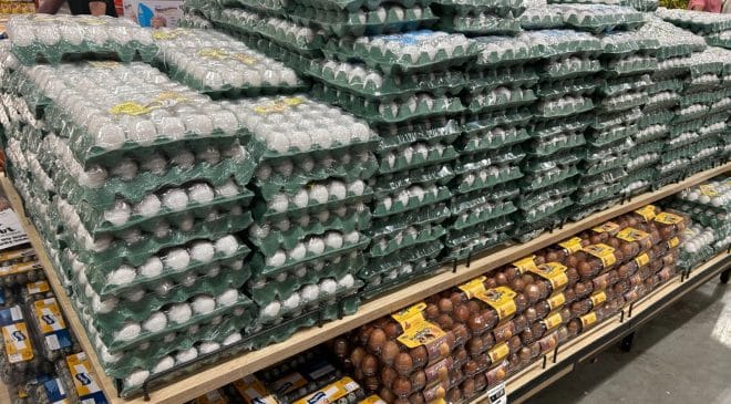 Produtos de Semana Santa em Salvador: histórico aponta o ovo de galinha como um dos vilões do período