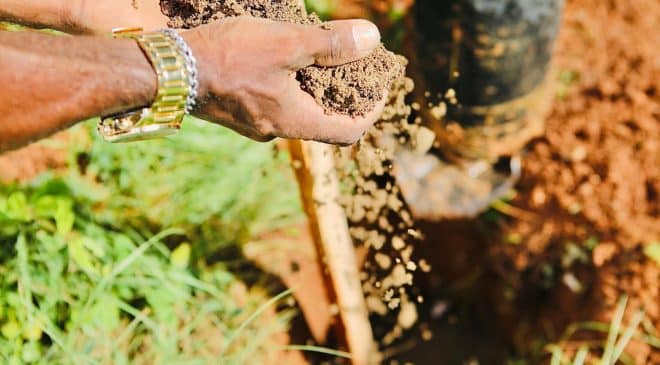 Ambientaliza Salvador promove mais de 20 dias de ações sustentáveis e educação ambiental na capital