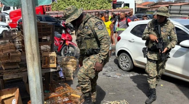 PM resgata animais silvestres e conduz  suspeitos em Alagoinhas e Feira de Santana