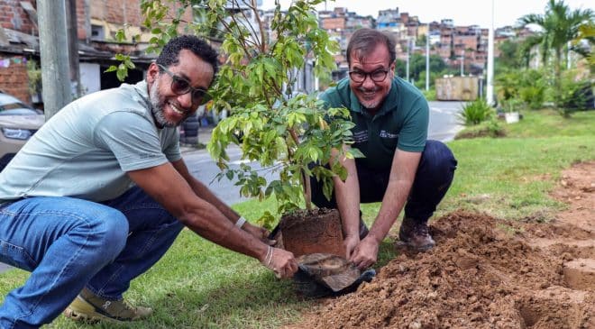 Salvador ganha primeira microfloresta urbana com mais de 1 mil mudas plantadas entre as avenidas Gal Costa e Jayme Figura