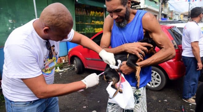 Campanha antirrábica 2026: Salvador intensifica vacinação de cães e gatos a partir desta segunda-feira (20)
