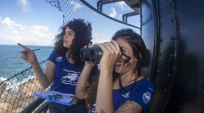 Temporada de observação de baleias jubarte começa nesta quarta (15) em Salvador com ponto no Farol da Barra