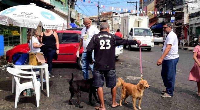 Dia D da Campanha Antirrábica leva vacinação gratuita para bairros e shoppings de Salvador neste fim de semana