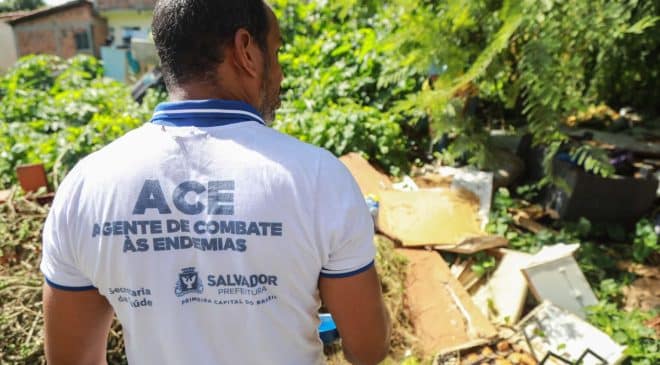 Salvador reforça ações de combate ao mosquito da dengue