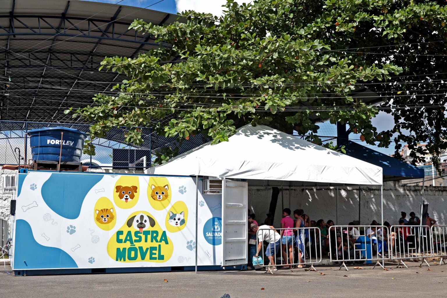 Castramóvel oferece castração gratuita de cães e gatos na Avenida Paralela a partir da próxima terça-feira (8)