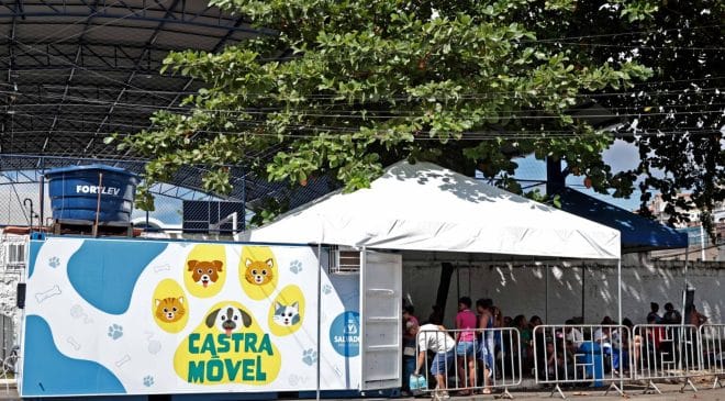 Castramóvel oferece castração gratuita de cães e gatos na Avenida Paralela a partir da próxima terça-feira (8)